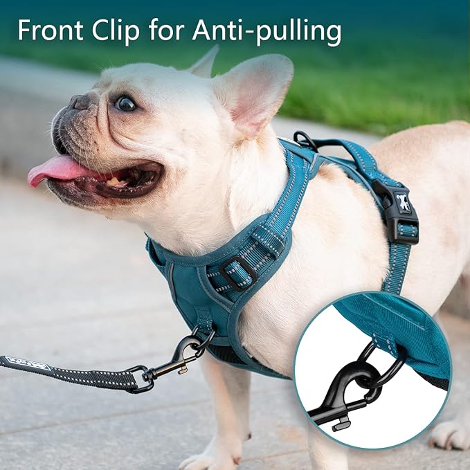 PoyPet No Pull Dog Harness, Reflective Vest with 2 Leash Clips & Handle | Lockable Neck Release Buckle, No Choke, Adjustable, Soft Padded, for Walking Training, Tumalo Teal, Small