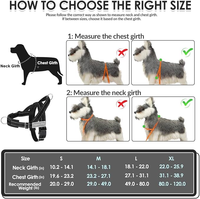 SlowTon No Pull Dog Harness with Front Clip - Heavy Duty, Soft Padded | Neck & Chest Adjustable, Tactical Pet Vest and Leash Set for Large Medium Sized Dogs, for Easy Walk & Training, Black L