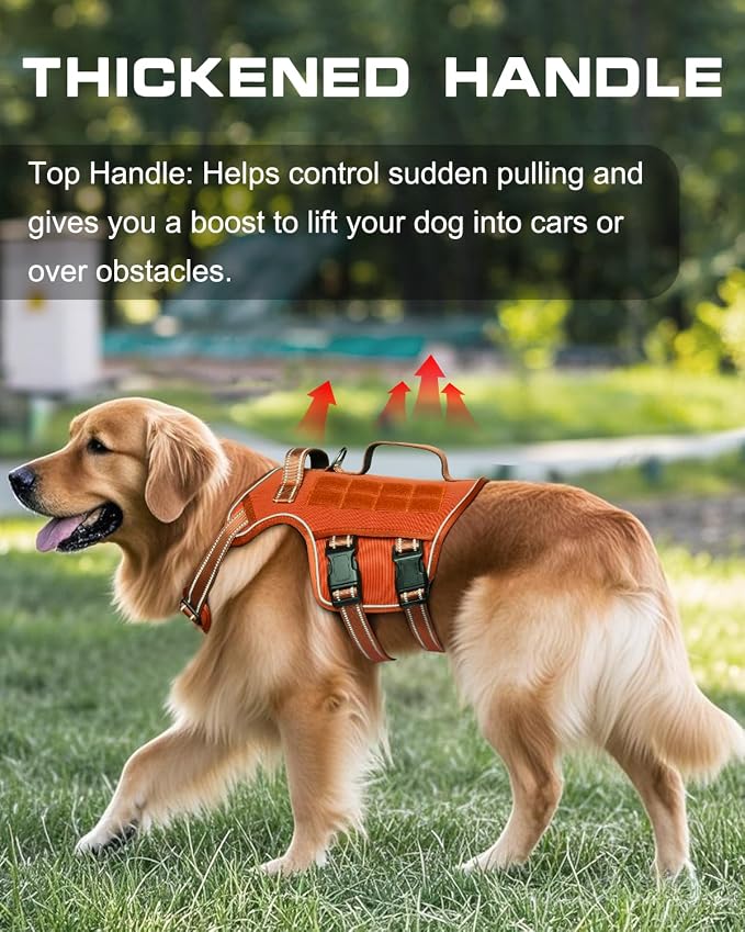 Dog Harness, Tactical No Pull for Small Sized Dog with Handle | Breathable Soft Padded, Adjustable, Reflective, Molle System, Heavy Duty, No Choke for Walking Training, Orange Small