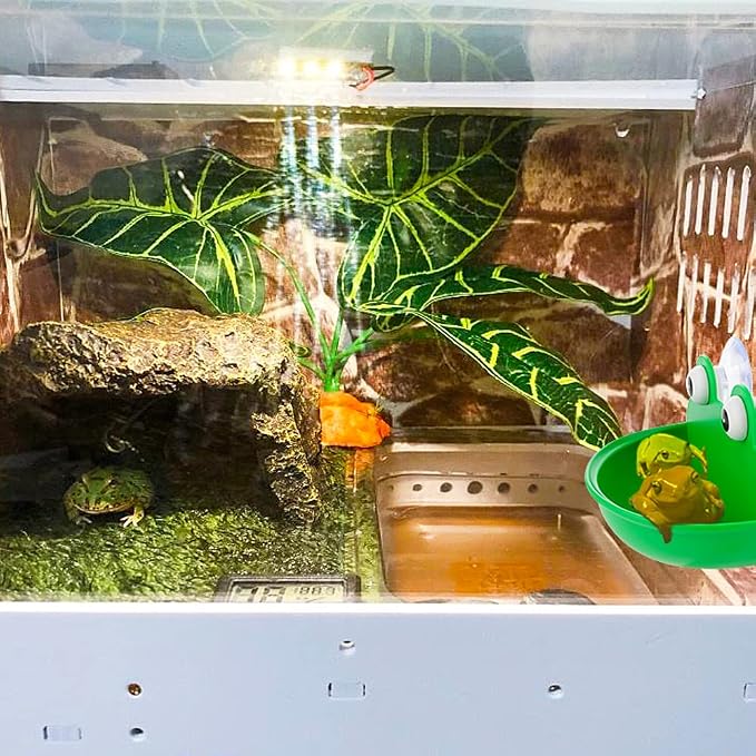 2 Pack Frog Suction Terrarium Hide for Tree Frogs Toads Tadpoles | Dual suction cups stick to glass, drain holes keep interior dry, smooth hard plastic, frog decor for rainforest vivarium