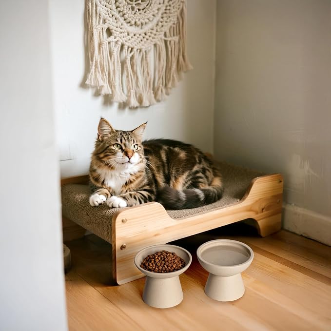 CEEFU Extra Wide Elevated Ceramic Cat Bowl - 6.2" Shallow Dish for Whisker Fatigue Relief, 5" Height for Easy Feeding, Lead & Cadmium Free, Durable Raised Cat Food Bowls, Pottery Clay (Not Glazed)