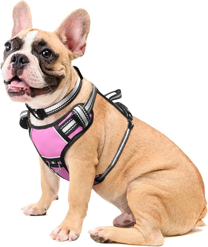 Dog Harness No Pull, Pet Harnesses with Dog Collar, Adjustable Reflective Oxford Outdoor Vest, Front/Back Leash Clips for Small, Medium, Large, Extra Large Dogs, Easy Control Handle for Walking