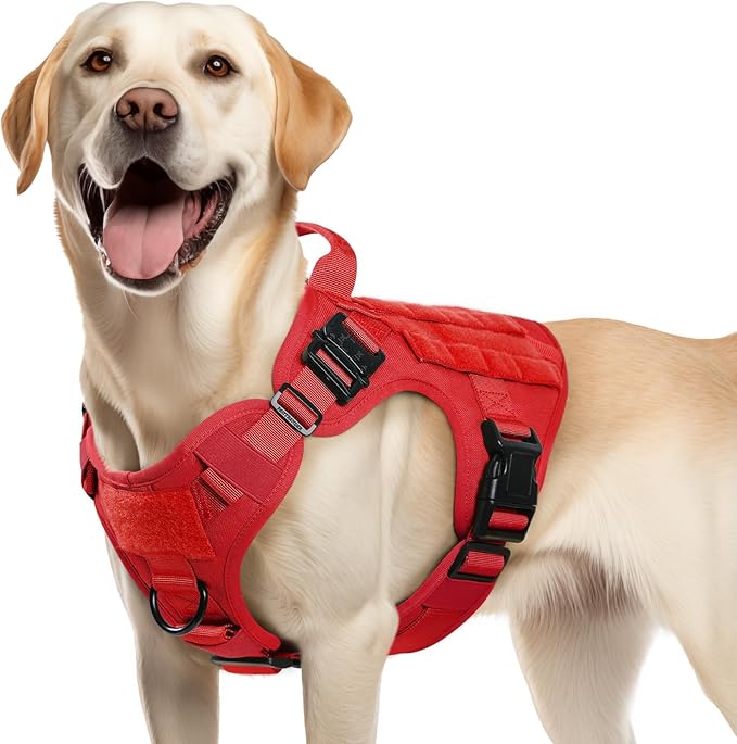 rabbitgoo Tactical Dog Harness for Medium, Heavy Duty Military No Pull Vest | Sturdy Metal Buckles, 5 Adjustments, Molle System, Powerful Pullers for Training, Hunting, Outdoor, Red, Medium