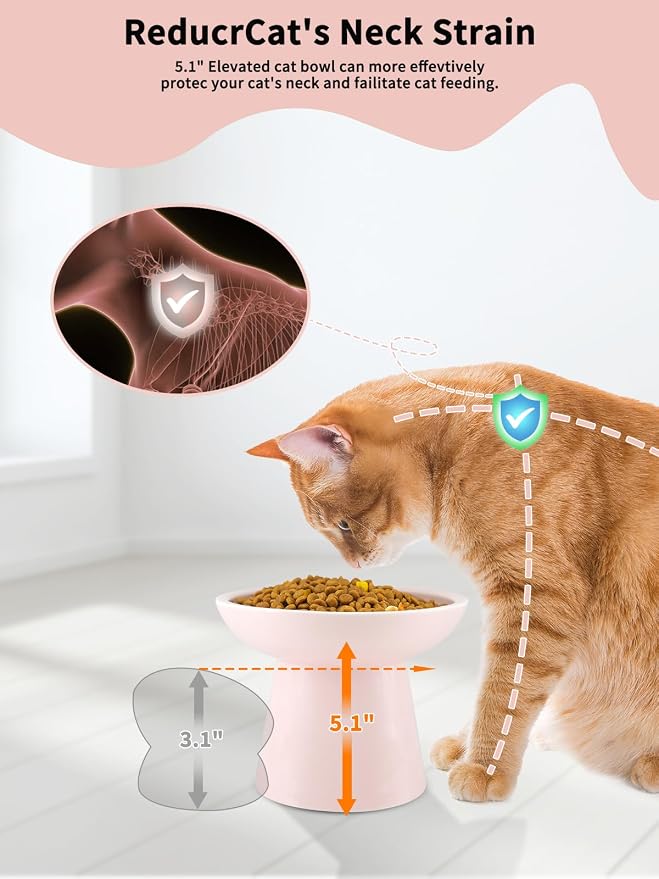 LoeJan Elevated Cat Food and Water Bowls Set, Extra Wide and Raised Ceramic Feeder, Anti-Vomit Whisker-Free Pressure Feeding Bowl for Kittens Adult Cats Small Dogs (Pink, Bowl Set)