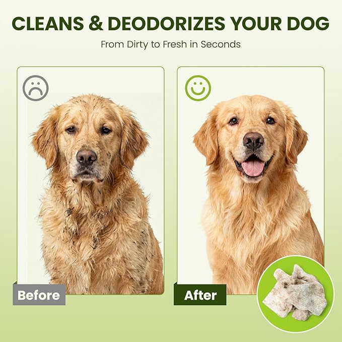 Hypoallergenic Pet Wipes for Dogs & Cats – Quick Clean & Deodorize Paws, Butt, Eyes, Ears, Face & Fur | Daily Grooming After Walks and Between Baths | Extra Large & Thick | Coconut Scented, 100 Count