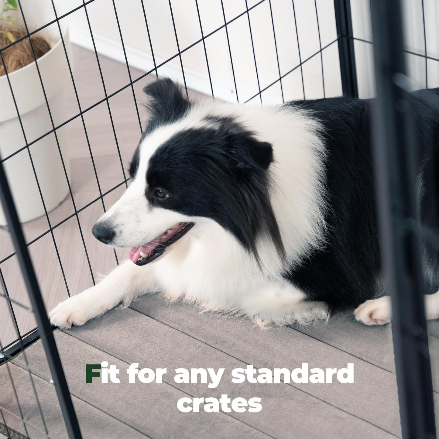 BALANCE Dog Crate Pad, Dog Foam Crate Mat Kennel Pad, Washable Water-Resistant Pet Bed Flat Dogs Cage Mat for X-Large Dogs