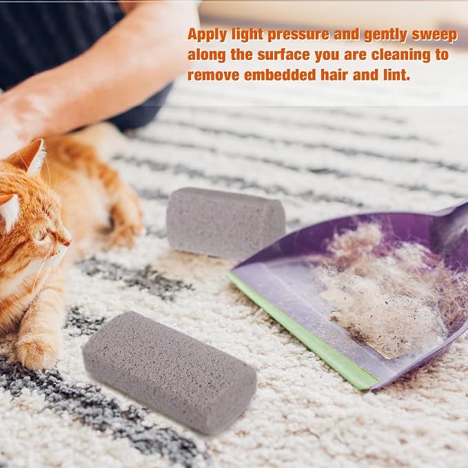 Xuniea 2 Pieces Pet Hair Remover for Cat Hair Removal Pumice Stone Tool Carpet Dog Fur Removal Tool for Car Couch Furniture Bedding Easy to Clean (4 Inches)