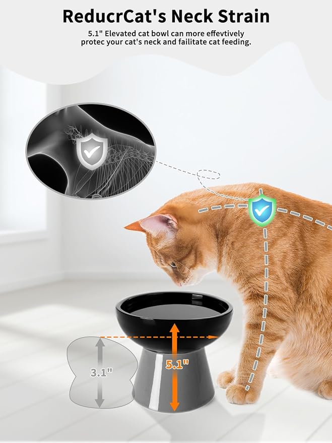 LoeJan Elevated Cat Food and Water Bowls Set, Extra Wide and Raised Ceramic Feeder, Anti-Vomit Whisker-Free Pressure Feeding Bowl for Kittens Adult Small Dogs(Black, 2 Pack)