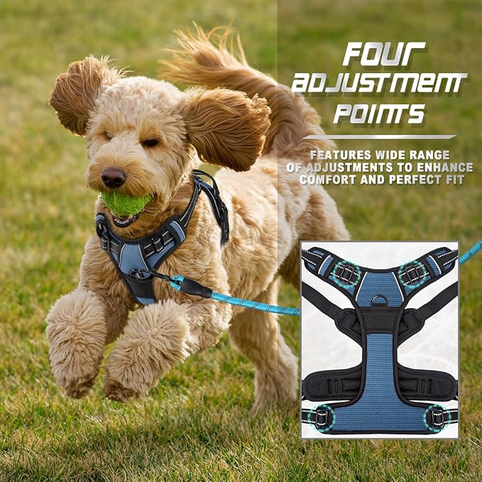 BARKBAY Dog Harness No Pull for Small Sized Dog Front Back Clips,Dog Vest | Soft Padded No Choke With Handle,Easy On&Off,Adjustable Reflective For Walking Training Running(Navy,XS)