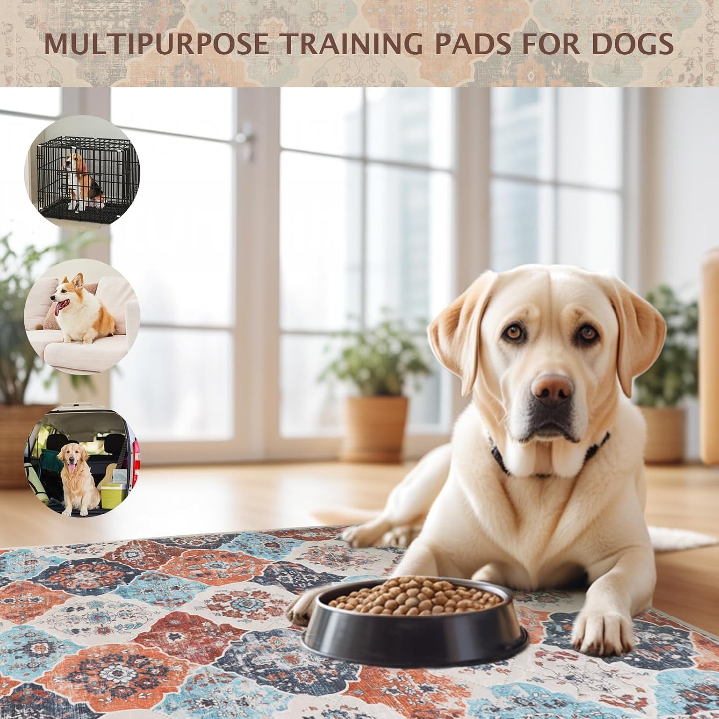 IEUUMLER Washable Pee Pads for Dogs, 2 Pack Reusable Non-Slip Grip, Super Absorbent Waterproof Puppy Pads for Potty Training, Playpen, Crate, Whelping Box EU011 (Orange, 30" x 20")