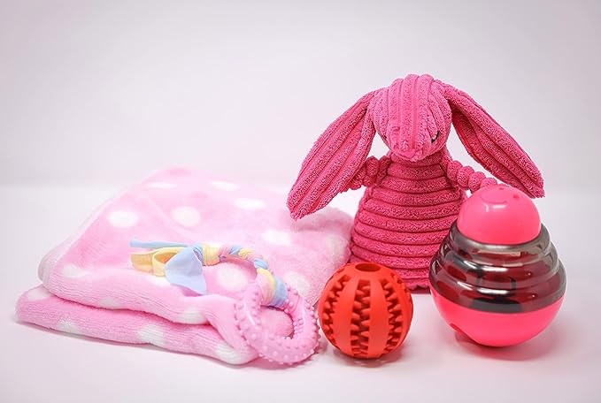 SoSoCute Pink Dog Gift Box - Puppy Chew Toy Set of 5 - Care Package with Dog Blanket, Squeaky Plush, Rubber Puppy Teether, Teething Ball, and Treat Ball for Small and Medium Dogs