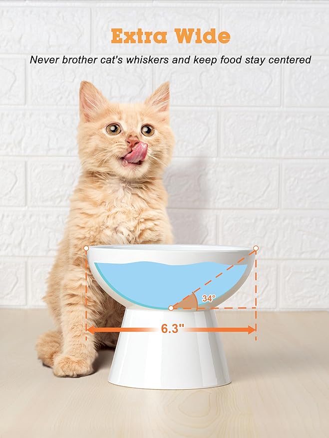 LoeJan Elevated Cat Food and Water Bowls Set, Extra Wide and Raised Ceramic Bowls, Anti-Vomit Whisker-Free Pressure Cat Feeder for Kittens to Adult Cats and Small Dogs (White, Water Bowl)