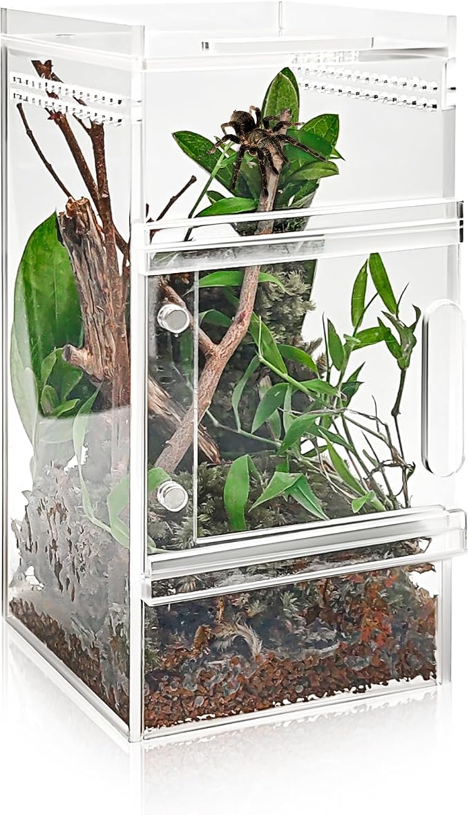 Pre-Assembled Jumping Spider Enclosure 3x3x6 Inch Acrylic Spider Cage Insect Terrarium Bug Enclosure Tarantula Enclosure Reptile Terrarium for Snail, Mantis, Lizard, and Small Reptiles
