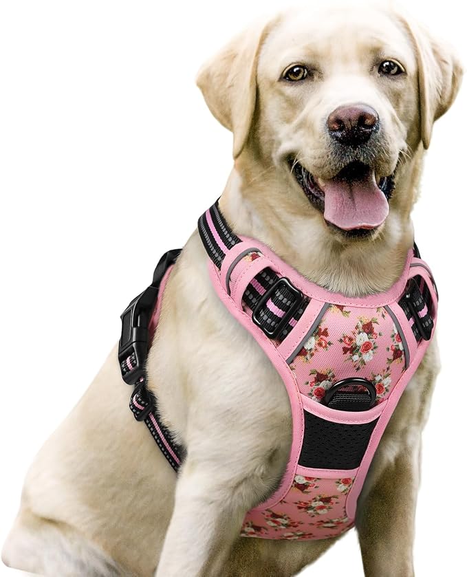 rabbitgoo Dog Harness, No Pull for Large Dogs with 2 Leash Clips, Pet Vest | No Choke with Handle, Adjustable Soft Padded, Reflective, Easy Control for Walking, Pink Rose, Large
