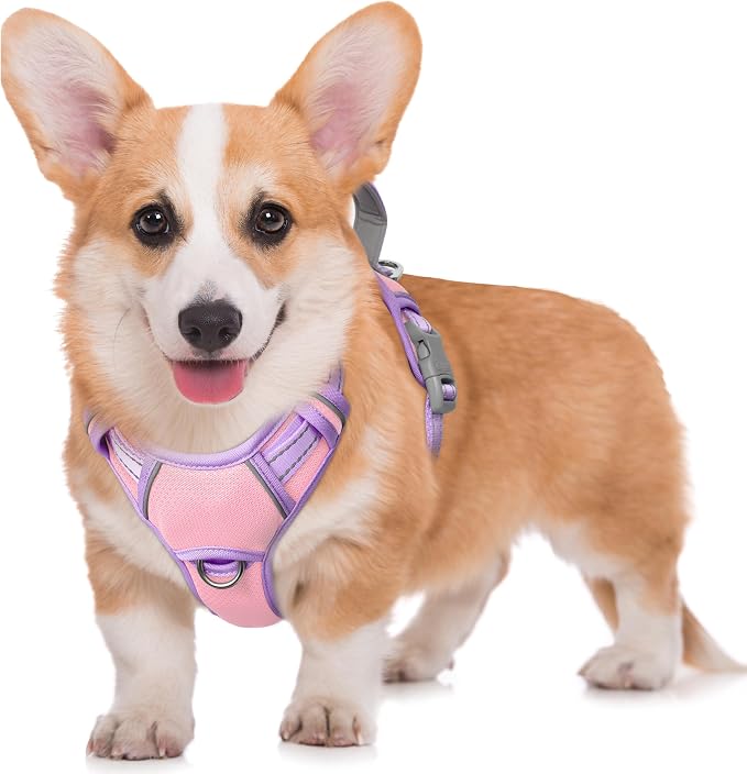 BARKBAY No Pull Dog Harness Large Reflective Dog Harness with Front Clip and Easy Control Handle for Walking Training Running with ID tag Pocket(Baby Pink & Violet Purple,M)