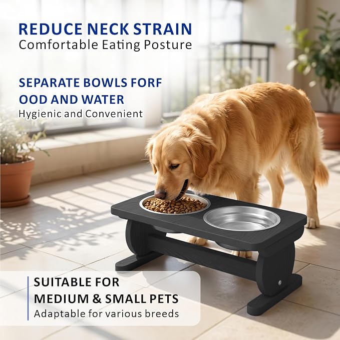 Raised Dog Bowl Stand for Small Sized Breed, Feeding Station with 21 oz 2 Stainless Steel Bowls & Licking Plate,Dog Food Bowl Black