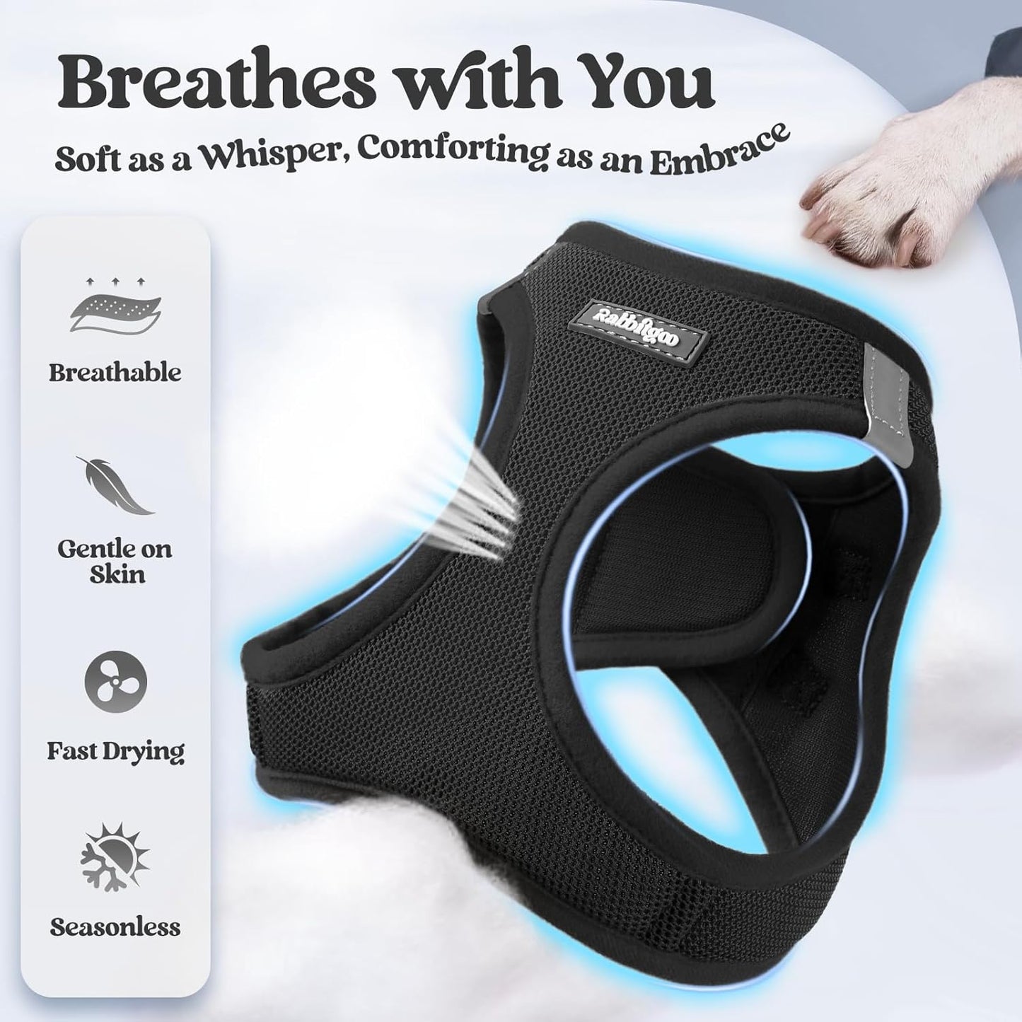 rabbitgoo Dog Harness Small Sized and Leash Set, Step in Soft Light Puppy Vest, Breathable Mesh Pet Harness, Reflective for Safe Easy Walking, Black M