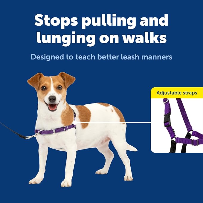 PetSafe Easy Walk Harness, No Pull Dog Harness, Deep Purple, Small | Patented Martingale Loop Gives Gradual Shoulder Pressure to Stop Pulling, Front-Chest Leash Clip Prevents Gagging