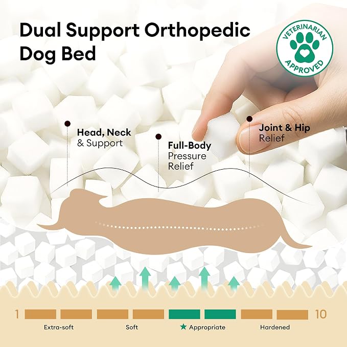 FUNNY FUZZY Dog Couch Bed, Fluffy Dog Bed Large Sized Dog with Pillow | Orthopedic Supportive Meidum Large Pet Sofa, Removable Washable Cover, Non-Slip, Snoozy Dream, 39"×26.3"×15.7", Up to 55 Lbs