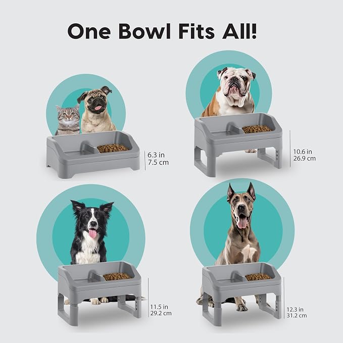 IRIS USA Elevated Pet Feeding Station, Adjustable, Double Bowls, Gray | Made in USA, Feeding Trough, Removable Double Food and Water Bowls, Easy Clean Design, Indoor Pet Feeding System