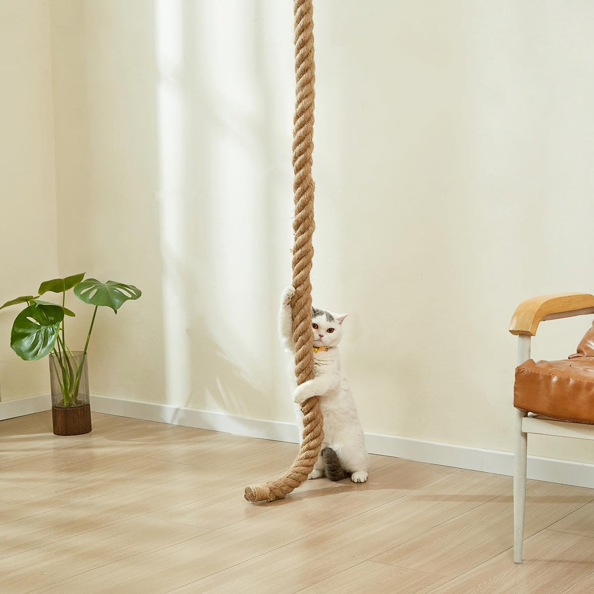 SHENGOCASE 1.9" x 6.56Ft Cat Climbing Jute Rope with Hook, Wall Mounted Furniture for Indoor and Outdoor Cat, Cimbing Pole (6.56 Feet)