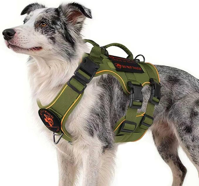Reflective Tactical Dog Harness with AirTag Holder&3 Pet Patches, Green M | Heavy Duty No Pull Dog Harness, Adjustable Dog Harness, Two Handles, Breathable Mesh Padding, Resists Dirt and Stay Clean