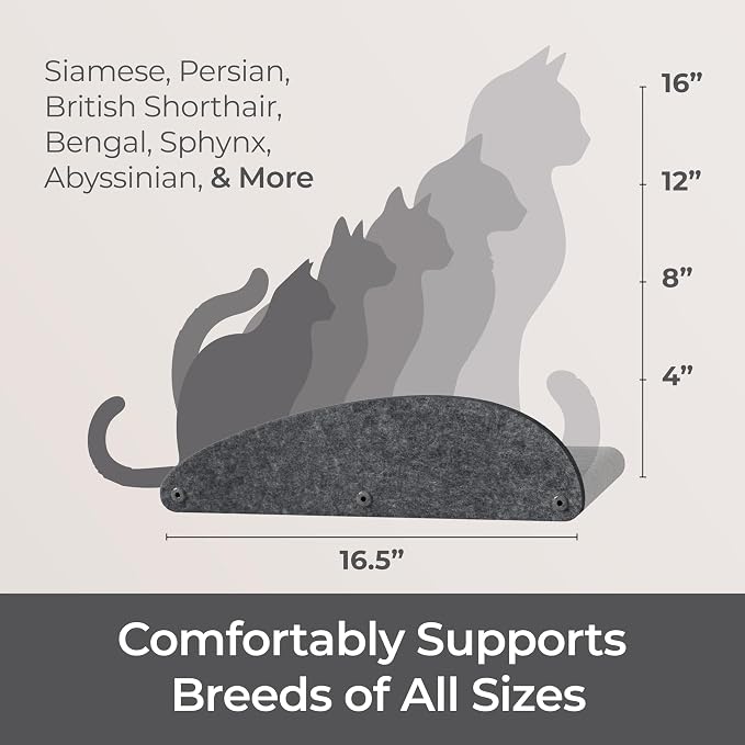 Accessory ADD-ON Long Shelf Facade Covers Compatible with Cat Wall Shelves by Pryde Pets - 100% Sustainable PET Felt - Climber Sold Seperately - Cats Perch Privacy and Safety Bumpers (Charcoal)