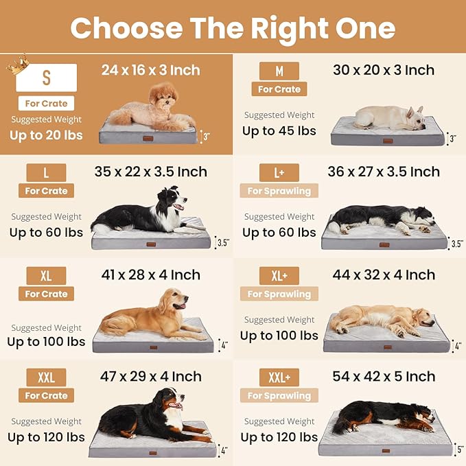 OhGeni Orthopedic Waterproof Dog Bed for Small Dogs, Machine-Washable Removable Cover in Easy-Clean Fabric, Reversible Memory Foam & Easy-Carry Handle, Suitable for Crate, 24 inch (Gray)