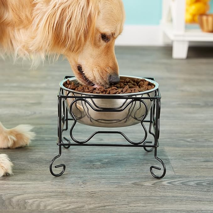 Wrought Iron Stand with Single Stainless Steel Bowl Size: Medium (7" H x 9.5" W x 9.5" D)