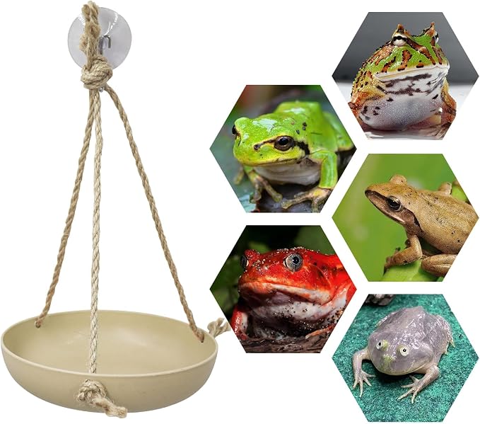 Frog Swing Toys, Plastic Reptile Amphibian Climbing Toys, Tank Aquarium Terrarium Decoration Accessories, Suitable for Frog Gecko Lizard Chameleon Hermit Crab (Beige, Small)