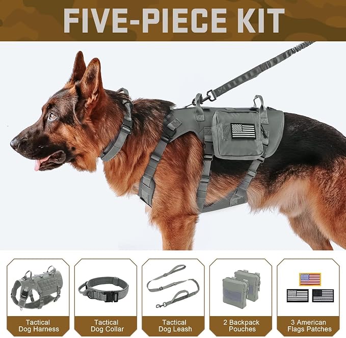 Forestpaw Tactical Dog Harness Collar Bungee Leash Set,M,Gray | Adjustable Fits 22-35" Chest,30-80 lbs,No Pull Control Military Style,Quick Release Buckle,Walking Training for Medium Dogs
