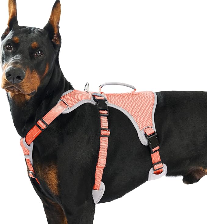 Escape Proof Dog Harness, Dachshund Harness, Reflective Dog Harness with Handle, Durable,Adjustable Vest for Small Medium Large Dogs Walking, Training, and Running Gear (Orange,XL)