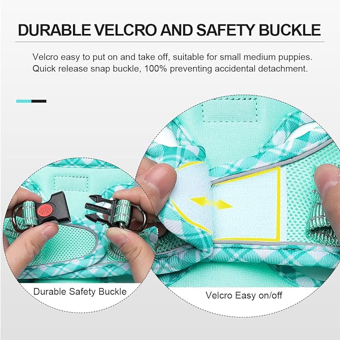 Mercano Soft Mesh Dog Harness and Leash Set, No-Chock Step-in Reflective Breathable Lightweight Easy Walk Vest Harnesses with Safety Buckle for Small Dogs, Cats (Light Green, XS)