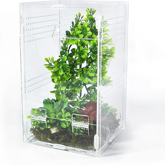 Jumping Spider Enclosure 6”x6”x10”, Transparent Arboreal Tarantula Habitat, Praying Mantis Terrarium Critter Cage for Jumping Spider, Tarantula, Mantis, Snail, Isopods, Beetles, Millipedes