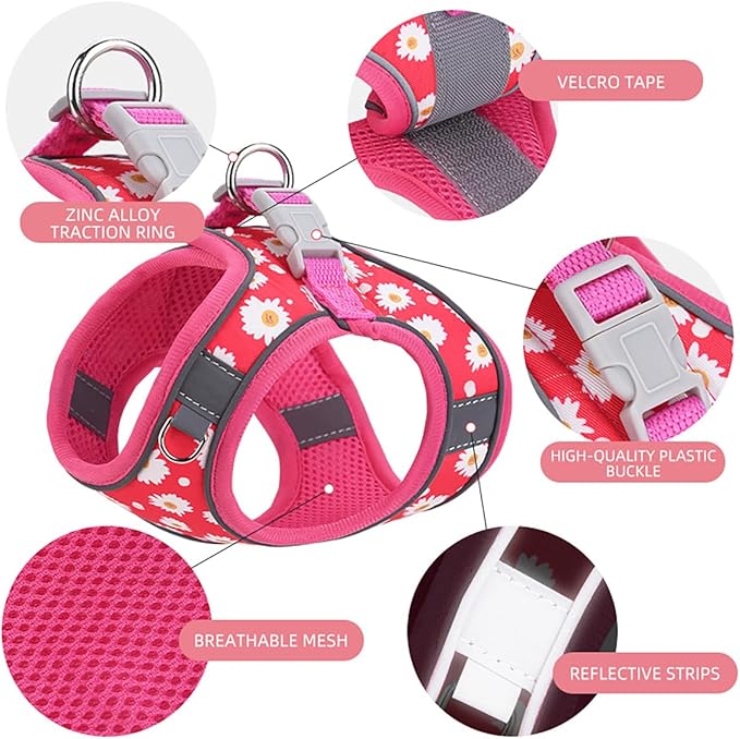 Step in Dog Harness and Leash Set, Flower Adjustable Easy Walk Puppy Harnesses, Soft Mesh No Pull Pet Vest Harness for Small Dogs and Cats(Strawberry, XXS)