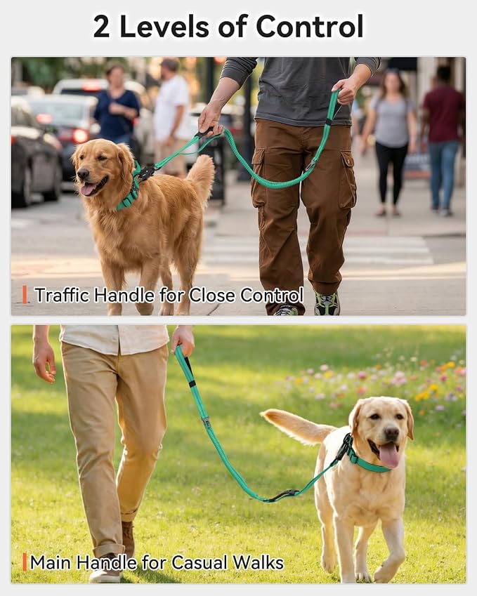 Joytale Tactical Bungee Dog Leash, Shock Absorbing No Pull, Teal | for Large Dogs That Pull, 2 Padded Handles for Control, Car Seatbelt Clip, Reflective for Night Safety, Metal Frog Clip