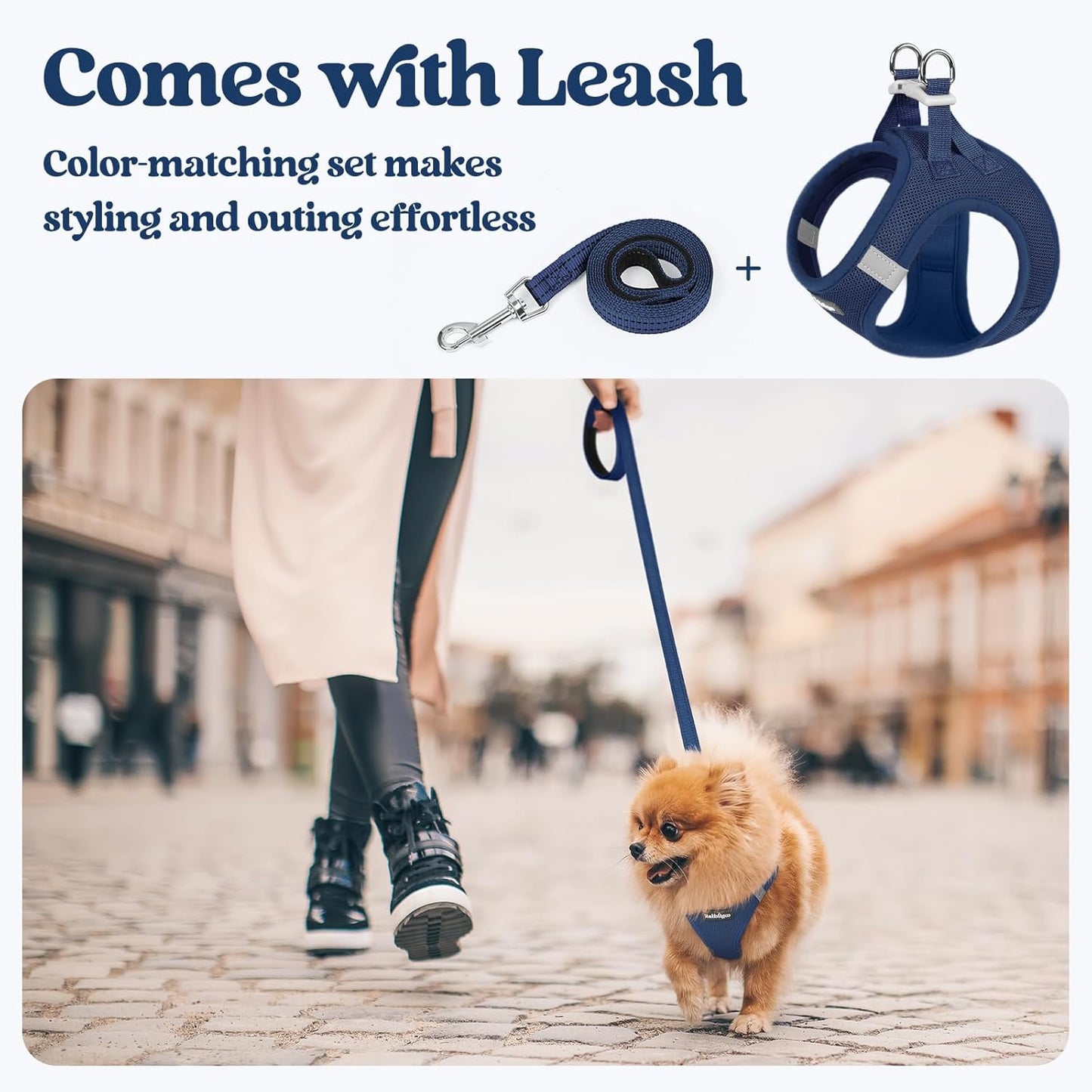 rabbitgoo Dog Harness Small Sized and Leash Set, Step in Soft Light Puppy Vest, Breathable Mesh Pet Harness, Reflective for Safe Outdoor Walking, Navy Blue M