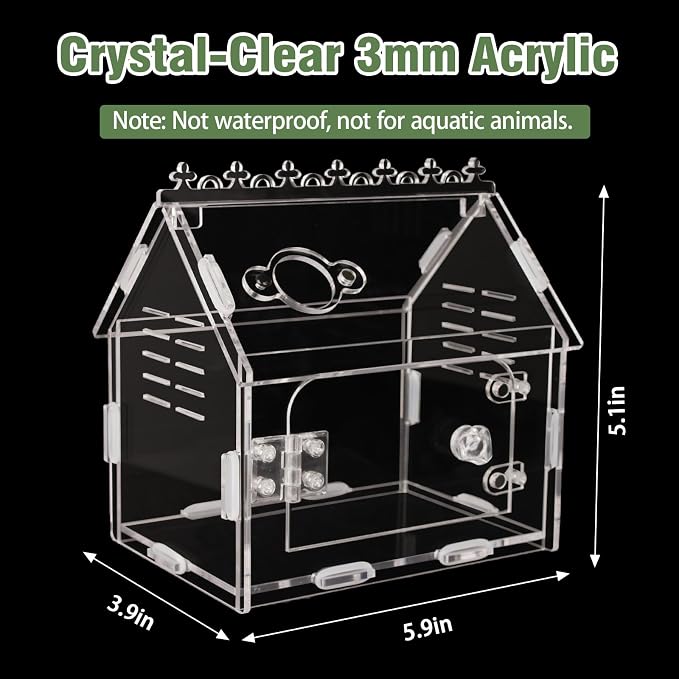 Acrylic Jumping Spider Enclosure Magnetic Lock Terrarium | Clear Acrylic Viewing, Dual Vents, Sloped Roof, 5.9x3.9x5.1", Tool-Free Assembly