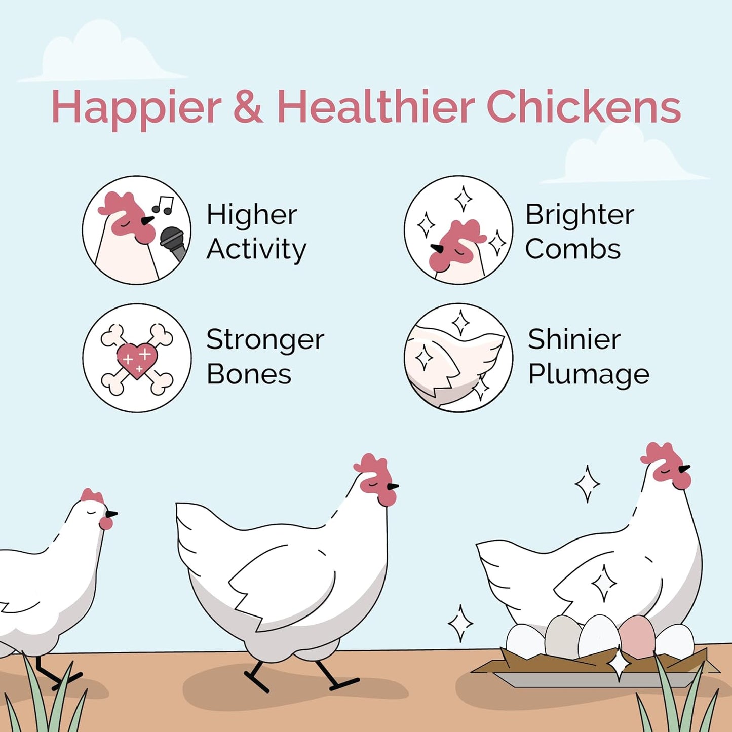 Chicken Grit for Layer & Grower Chickens Age 8-20+ Weeks - 100% Natural Mineral Chicken Grit Quartzite, Poultry Grit, USA Mined, 50 lbs