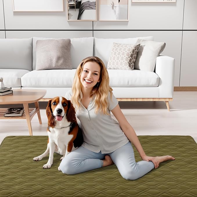 Smiry Reversible Waterproof Couch Covers for Sofa, Washable Dogs Pet Couch Covers for 3 Cushion Sofa Pet Friendly, Water Resistant Furniture Protector Slipcover, Geometric (40"x50", Green/Navy)