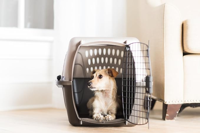 Petmate Dog Crates for Small Dogs & Cat Carriers, Two-Door Plastic Pet Kennel, Top & Front Loading, Made in USA, 24" For Pets Up To 15 lb, Pearl Tan | Plastic pet kennel made in USA, for small pups and kittens, dual entry design, great for travel and v...