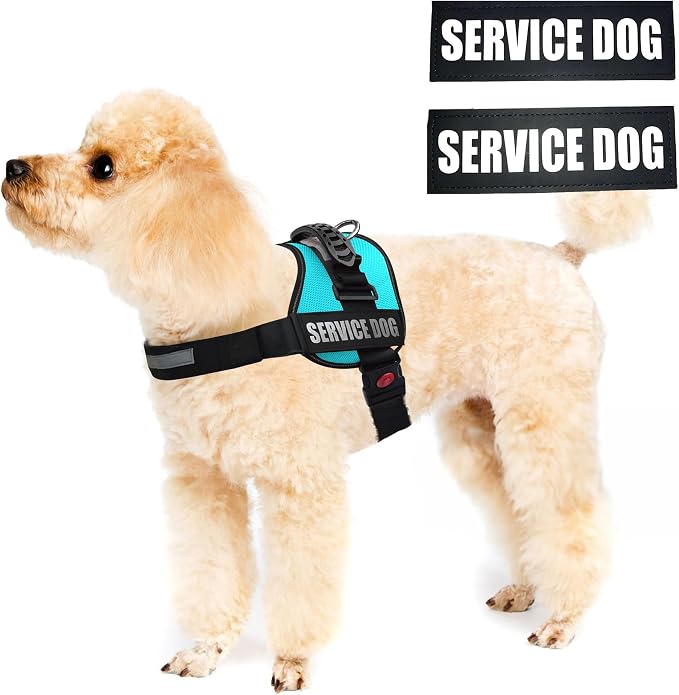 Service Dog Vest Harness – Reflective Service Animal Vest, No-Pull Harness with Handle & Mesh Padding – Sizes XXS-XL for Puppies – 2 Removable Service Patches Included (XXS, Blue)