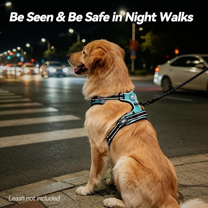 PoyPet No Pull Dog Harness Large with Front Clip & Neck Release Buckle | No Choke, Adjustable Vest, Reflective, Back Clip, Lockable, Soft Padded Handle for Walking Training, L, Mint Blue