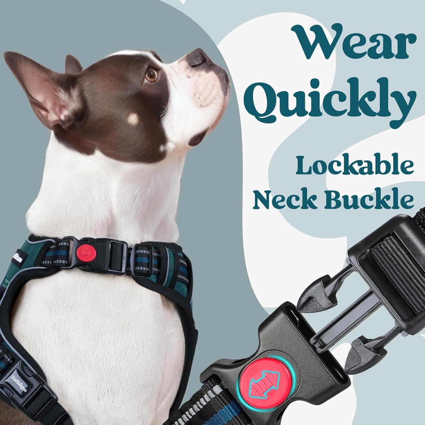 rabbitgoo Dog Harness Small Sized, No Pull Pet Harness with 3 Buckles, Adjustable Soft Padded Vest with Control Handle, Walking Reflective Pet Vest for Small Dogs, Blue Coral, S