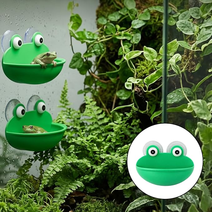 6-Piece African Dwarf Frog Tank Accessories, Reptile Basking Platform Set for Tree Frog Terrarium Decorations and Betta Leaf Resting Spots