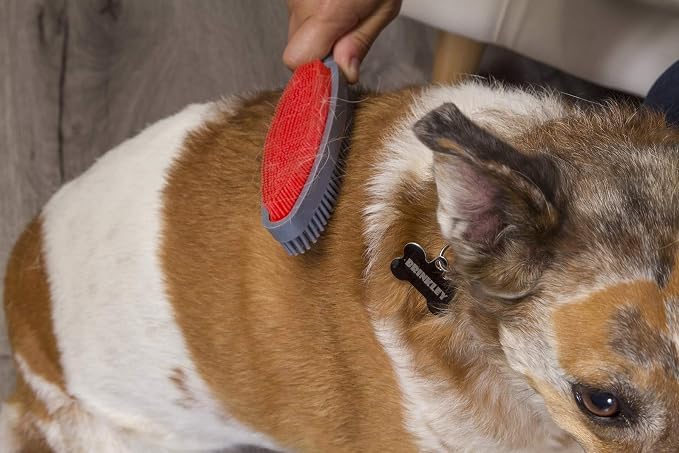 FURemover Duo Pet Hair Rubber Brush, Dual Sided to Easily Remove Fur & Lint from Clothing and Upholstery, Thick Bristles Groom Dogs and Cats, Easy to Clean, Colors May Vary (Pack of 12)