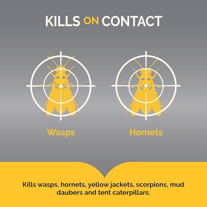 Hot Shot Wasp And Hornet Killer 17.5 Ounces, Bonus Size, Up to 27-Foot Jet Spray, 12 Pack, Black
