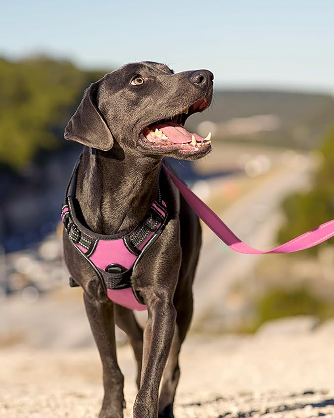 Joytale No Pull Dog Harness for Large Dogs, Front Clip, Pink | Grab Handle for Instant Control, Padded & Adjustable Vest, Sturdy Metal D-Rings, for Safe Training & Daily Walking