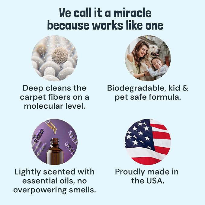 Sunny & Honey Carpet Cleaner Shampoo Solution for Machines, 32floz Lavender | USA Made - Stain and Odor Eliminator - Cleans Carpets and Upholstery - For Upright and Spot Cleaners - Concentrated Formula