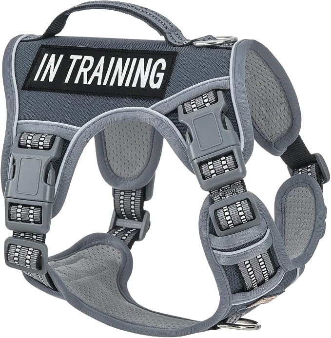 AUNZO No-Pull Dog Harness for Small Dog Breeds, Anti-Escape Easy Walking Reflective Adjustable Lightweight Dog Vest with Breathable Oxford Material, Easy on Easy Off with Neck Buckle, Gray XS